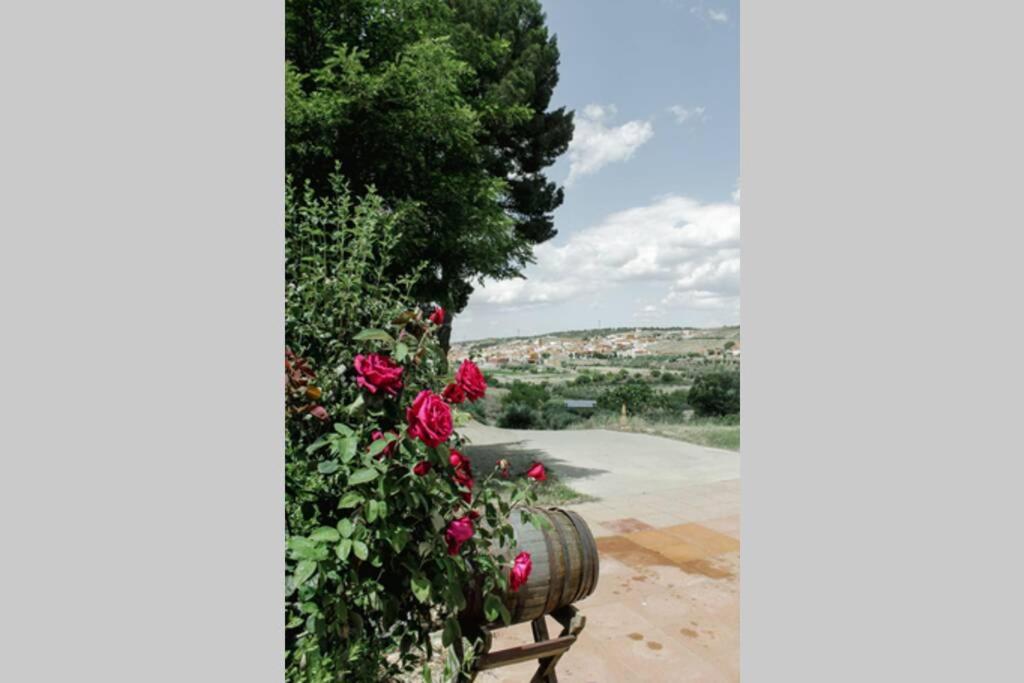 Casa Cueva Piena, Alcudia De Guadixヴィラ エクステリア 写真